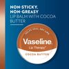 Lip Vaseline Cocoa X 12 X 20g