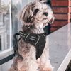 No Pull Dog Pet Harness Reflective Strip Adjustable Control Comfort Handle Black