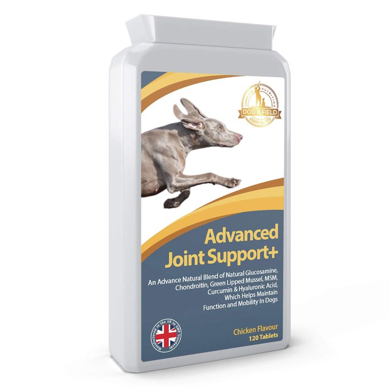 Advanced Joint Support+ A Powerful Joint & Hip Care Supplement For Dogs ... - Guinea Pig Joint Support Supplement