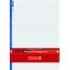 Baier & Schneider Binder Ring Insert Pad for Ring Binder A4, 70 g/m², 4fach, Lined, White (Pack of 50)
