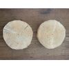 Pine Wheels, About 7 Inches Diameter x 2 Inches Thick