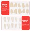 EXCEART Teeth Veneer 100 Pieces Artificial Resin Tooth Fillings Temporary Veneer Tooth Replacements Tooth Repair Supply