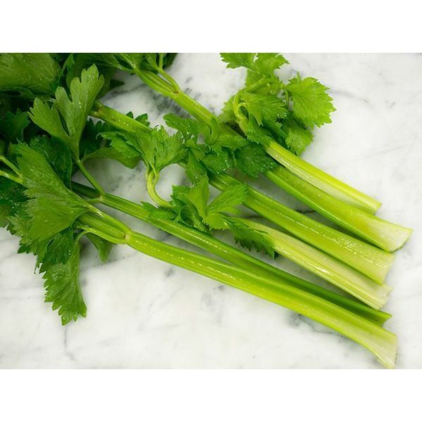 Tendercrisp Celery Seed, Heirloom NON-GMO Always Fresh Seeds FAVORITE-FLAVORFUL