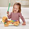VTech Zoo Jamz Doggy Xylophone