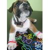 Silly Bandz - Alphabet Pack - 36 Count