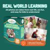 CreateFun Prepositions, Emotions & Verbs Flash Cards CFFC-007