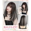 AISIQUEENS Wig, Semi-Long, Inner Color, Gray, Black, Medium Bob, Full Wig, Natural, Cross-Dressing, Women's, Fashionable, Everyday, Wig, Cosplay, Straight with Net