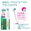 Gum Periodontal Pro Care Electric Toothbrush, Replacement Brush, SP01 x 2 Pieces (x1)