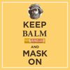 Burt's Bees Lip Balm Stocking Stuffers, Moisturizing Lip Care Christmas Gifts, for Dry Chapped Lips, All Natural, Medicated with Menthol & Eucalyptus (2 Pack)