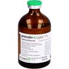 procain-Loges 1% Injektionsflasche, 100 ml Lösung