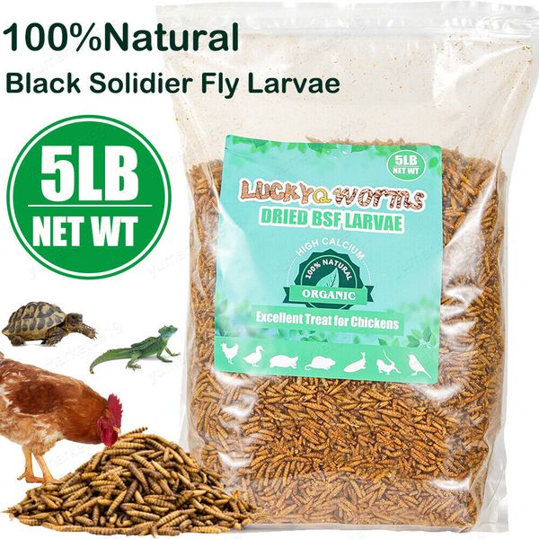 5LB Dried Black Soldier Fly Larvae Premium for Chickens Birds Treat High Calcium