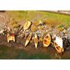 Faller FA130513 - Boats and Pedal Boats