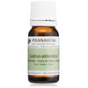 Pranarom Atlas Cedar Essential Oil 0.3 fl oz (10 ml)
