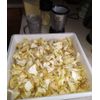 Lion's Mane Mushroom Extract