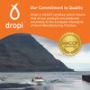 Dropi Clean Icelandic Fish Oil - 170ml (Ginger)