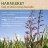 [THE SAEM] Urban Eco Harakeke Cream 50ml