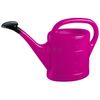 Plastic Watering Can 10 Litre