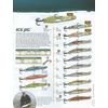 Ice Jig Williams Lures - Silver & Gold Mirror - J60H - 3-1/4" Long - 1/2 oz