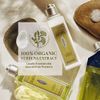 L'Occitane Verbena Body Lotion: Refreshing Lemon Scent, Softening, Moisturizing, With Grape Seed Oil, Shea Butter & Organic Verbena Extract, Vegan