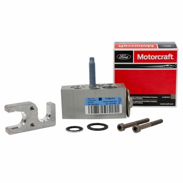 Motorcraft - Valve Asy (P) (YG810)