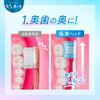 PUORA Toothbrush, Ultra Compact, Normal, 1 Piece (Colors Available)