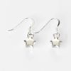 Silver Plated Star Earrings