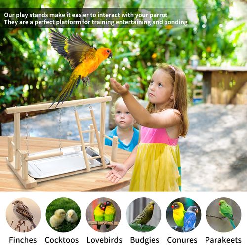 FrgKbTm Natural Wood Bird Playground Parrot Perch Playstand Play Gym Stand Playpen Perches Ladder Swing Platform with Toys Exercise Playgym for Luonfels,Budgie,Cockatiels,Conures,Parakeets,Lovebird