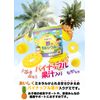 グミサプリ 鉄&カルシウム 60粒 3個セット 60日分【グミ/パイナップル果汁入り/おいしい/マルチミネラル/家族/子ども/健康/サプリ/サプリメント/栄養補助食品/安心国内製造/コプリナ】