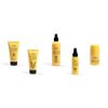 ZIAJA Pineapple Casserie (Set of 5)