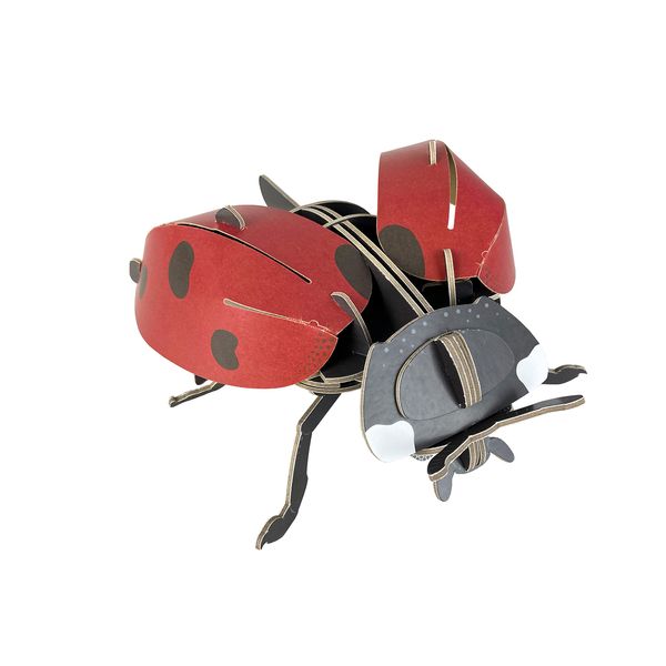 Build Your Own Beautiful Ladybird - Pull Tab Rotating Wing Action - Eco Friendly Cardboard Craft Kit - Ages 8+