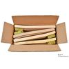 24 Pack Brass Wire Brush Tooth Brushes