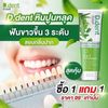 12x D. Dent Herbal Toothpaste Peppermint Formula Fluoride Fresh Breath Sensitive