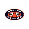 Steel Magnet Auburn Tiger Eye
