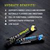 Hydrate Electrolytes Powder Packets No Sugar - Hydration Amplifier Packets for R