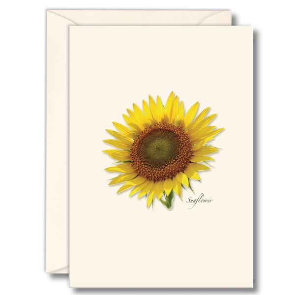 Earth Sky + Water - Sunflower Assortment Notecard Set - 8 Blank Cards with Envelopes