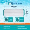 Hurricane 2 Pack HF4H949-01 Advanced Pool and Spa Filter Cartridge Replacement
