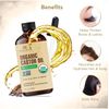 Botanic Hearth Castor Oil (2 fl oz) | USDA Certified Organic | 100% Pure & Hexan