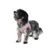 Doodlebone Dinky Dog Snappy Harness (Chalky Pink, 1)