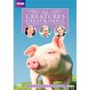All Creatures Great & Small: The Complete Series 7 Collection (Repackage)