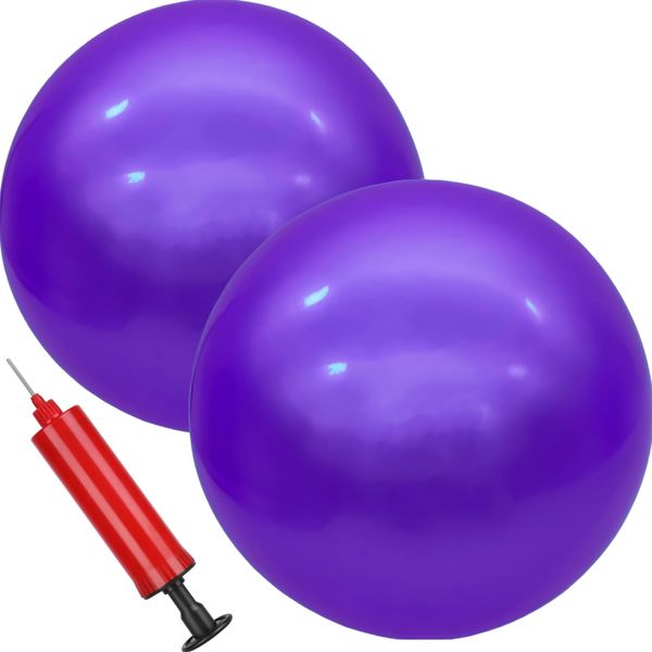 GCQJOQ 2 Pcs 9 Inch Inflatable Bouncy Balls with Hand Air Pump for Indoor Outdoor Play Balls (Purple)