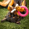 Midlee XO Valentine's Rope Dog Toy