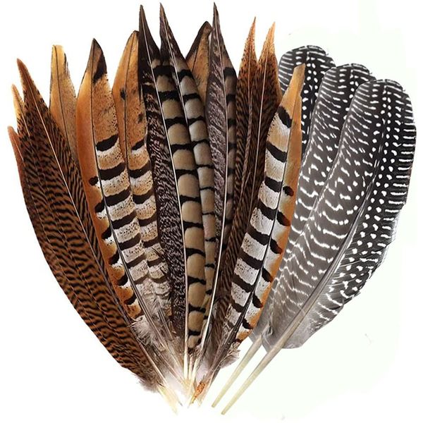 Flying Feathers Natural Pheasant Feathers 4 Style 15-20cm 12pcs Natural Feathers for DIY Craft Home Party Decorations FF03…