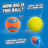 ChuckIt! Canine Hardware Medium Ultra Balls Classic 4-Pack,Orange