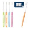 DENT.MAXIMA Dent Maxima Toothbrush, MS (Medium Soft) x 12