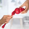 KONG Brush for Cleaning Dog Toys