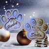 Christmas Ornaments Your Pets Name Engraved