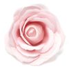 Ancient Wisdom Craft Soap Flowers - Lrg Rose - Pink