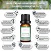 Elora 10ml Eucalyptus Essential Oil, 100% Pure & Natural