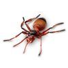 Learning Resources Jumbo Insects