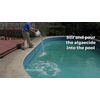 Rx Clear Algaecide 60 Plus Prevents Algae Swimming Pool Chemical - 1 Quart